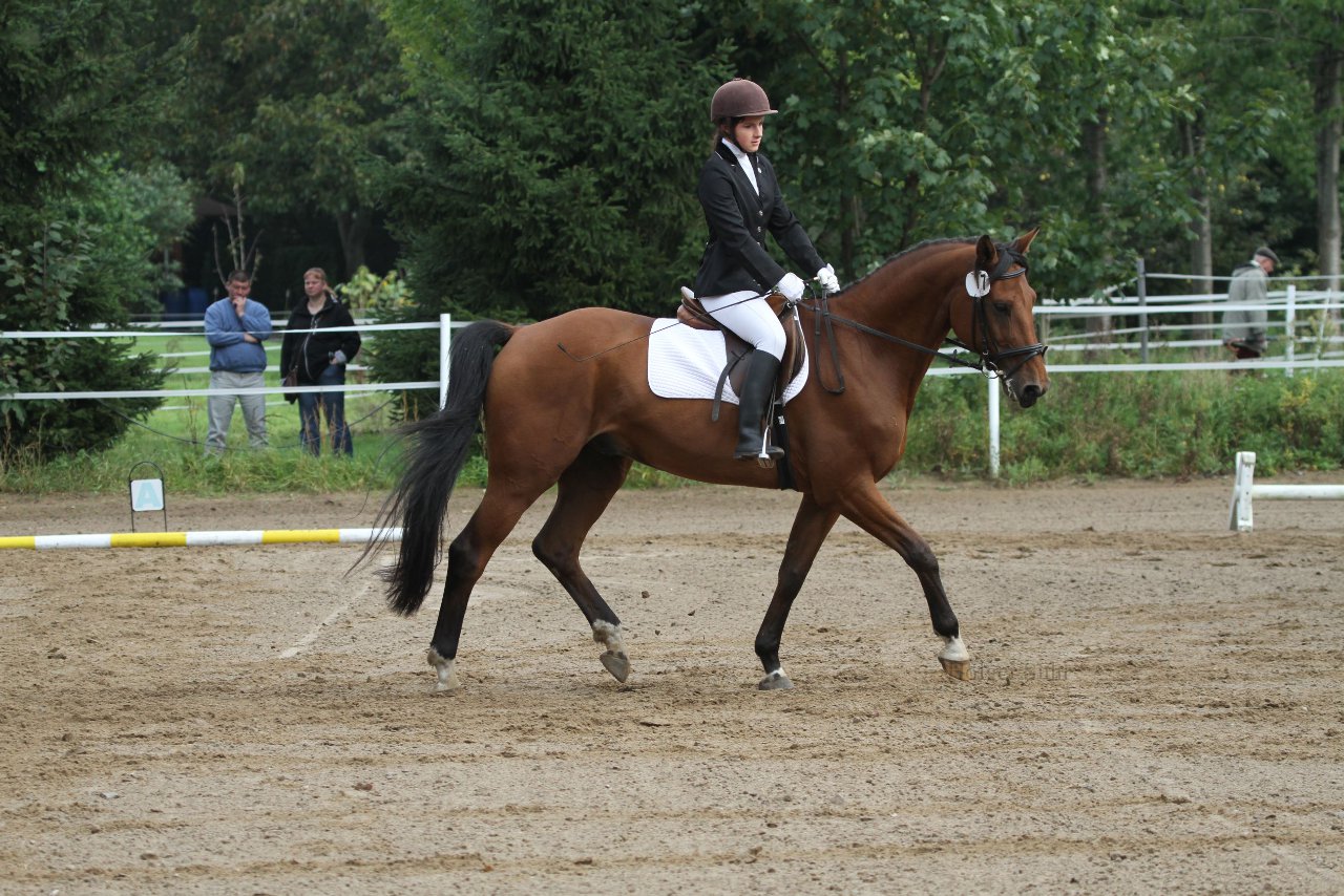 Bild 206 - WBO-Turnier am 18.9.11